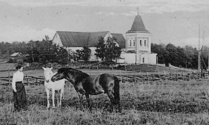 Hevonen Kirkon luona